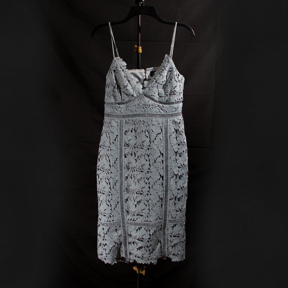 Bardot Botanica Lace Dress Dusty Blue